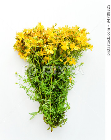 Hypericum flowers on white 94789825