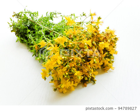 Hypericum flowers on white Hypericum flowers on white 94789827