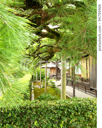 Japanese style garden seen from under the pine tree Japanese style garden seen from under the pine tree 94789906