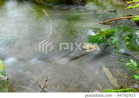 Clear Stream and Chokai Marimo Shishigahana Wetlands, Akita Prefecture Clear Stream and Chokai Marimo Shishigahana Wetlands, Akita Prefecture 94792915