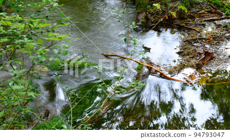 Clear Stream and Chokai Marimo Shishigahana Wetlands, Akita Prefecture Clear Stream and Chokai Marimo Shishigahana Wetlands, Akita Prefecture 94793047