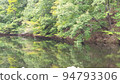 Reservoir landscape with forest reflection 94793306