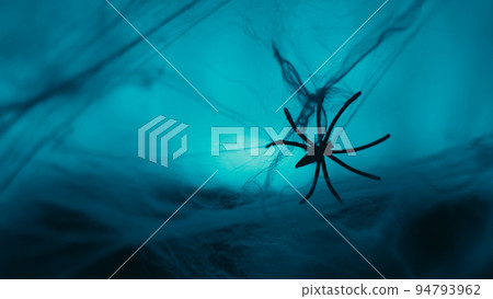 Spider standing on a spider web for the halloween party 94793962
