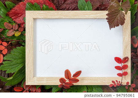 Autumn announcement. There is a frame on crimson and green autumn leaves. Space for text. Juicy leaves with dew drops. Saturated colors of autumn and summer. Background, texture 94795061