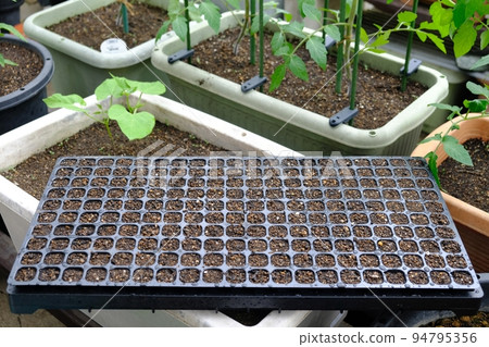 sowing cell tray sowing cell tray 94795356