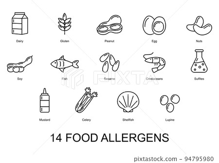 14 food allergens. Set of basic allergens icons. Vector illustration 14 food allergens. Set of basic allergens icons. Vector illustration 94795980