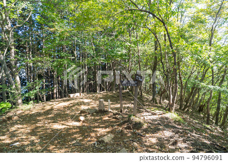 Nakimushi山頂（日光） 94796091