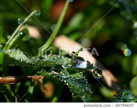 Open space in a park after rain 94796697