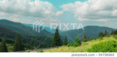 fir trees on meadow between hillsides with conifer forest  94796868