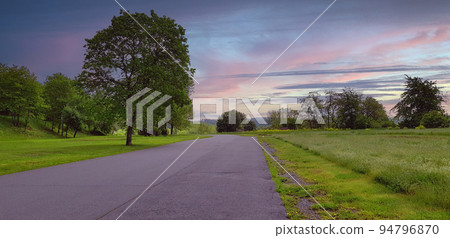 Forest road with big tree in Blue hour, after sunset 94796870