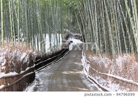 Kyoto Arashiyama "Bamboo Grove Narrow Path" Snowfall Scenery 94796899