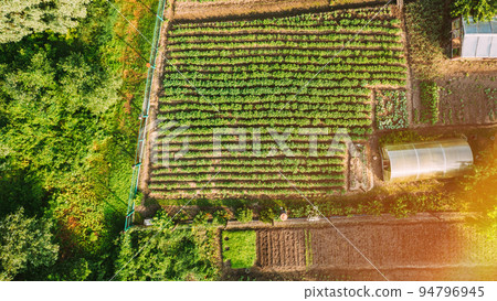 Close-up Aerial View On House Of Small Village. House And Vegetable Garden. Home Plantation At Summer Day. Village Garden. Household Plot 94796945