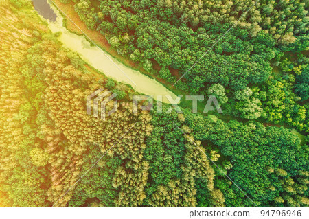 Aerial View Green Forest Woods And Small Marsh, Bog, Swamp Pond Landscape In Summer Sunny Day. Top View Of Beautiful European Nature From High Attitude In Summer Season. Nature Pollution Concept 94796946