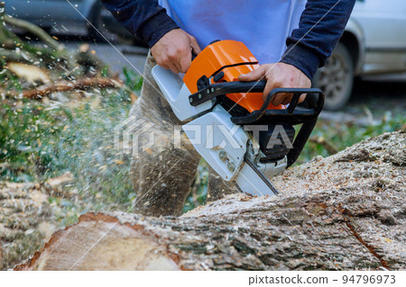 During a hurricane there was a worker with a chainsaw sawing through the tree fall, and falling trees on the asphalt During a hurricane there was a worker with a chainsaw sawing through the tree fall, and falling trees on the asphalt 94796973