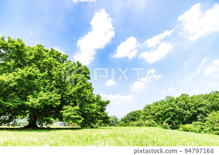 與綠色和藍天的風景 94797168