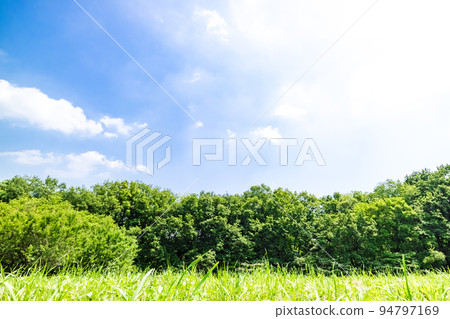 與綠色和藍天的風景 94797169