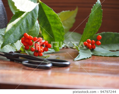 live a thousand ryo 94797244