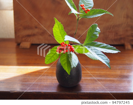 live a thousand ryo 94797245