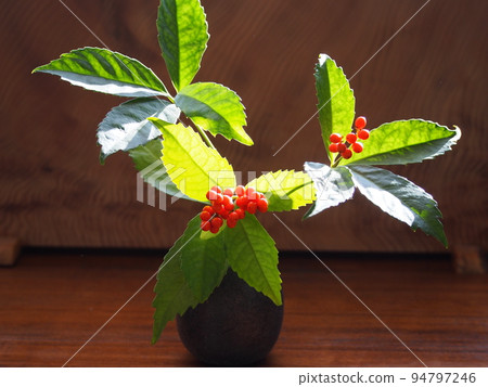 live a thousand ryo 94797246