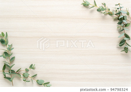 Light wood and eucalyptus background Light wood and eucalyptus background 94798324
