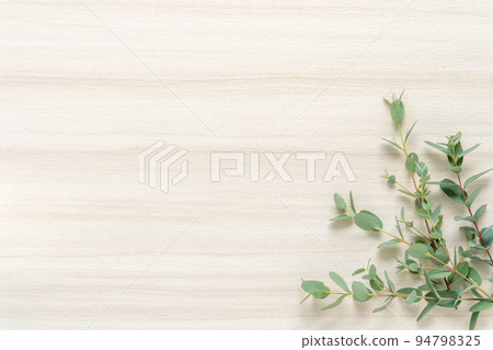 Light wood and eucalyptus background 94798325