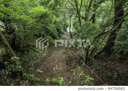 豐橋公園 吉田城內護城河 愛知縣豐橋市 94799083