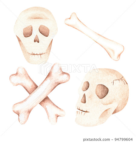 Skull and crossbones. Watercolor illustration. Isolated on a white background. Skull and crossbones. Watercolor illustration. Isolated on a white background. 94799604