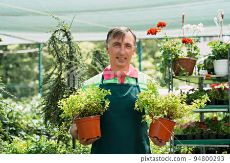 Man working in a garden center standing and holding plants Man working in a garden center standing and holding plants 94800293