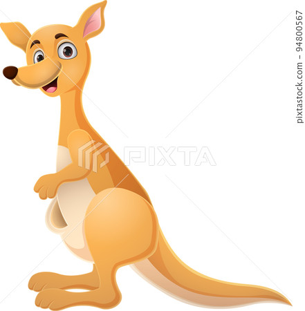 cute kangaroo cartoon on white background cute kangaroo cartoon on white background 94800567
