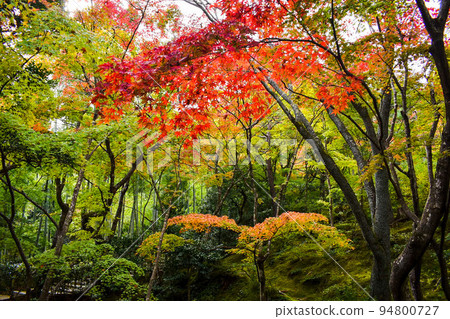 [Autumn in Kyoto] Jojakko-ji Temple and Sagano Hyakunin Isshu Sacred Site 94800727