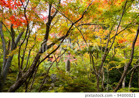 Precincts of Jojakko-ji Temple_Autumn leaves in Arashiyama, Kyoto and the mansion garden of the main hall_Hyakunin Isshu sacred place Precincts of Jojakko-ji Temple_Autumn leaves in Arashiyama, Kyoto and the mansion garden of the main hall_Hyakunin Isshu sacred place 94800821