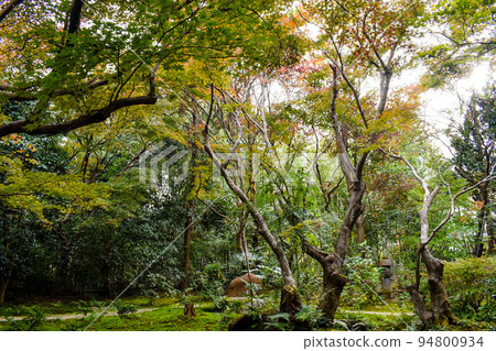 嵐山著名的紅葉世界“安蓮”【京都秋季秘密觀光】 嵐山著名的紅葉世界“安蓮”【京都秋季秘密觀光】 94800934