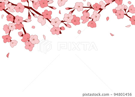 Frame material_Sakura 94801456