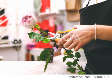 Florist cuts a rose preparing flowers to create a bouquet. Florist cuts a rose preparing flowers to create a bouquet. 94801606