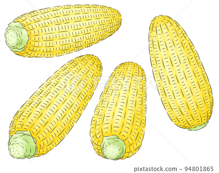 玉米黃派(1線色) 94801865