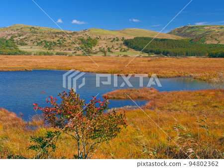 Autumn in Kirigamine and Yashimagahara Marsh [Improved version] 94802362