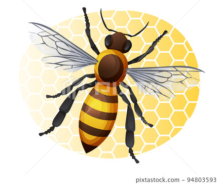 Honey bee on a yellow background. Striped insect illustration isolated on white background. Sticker, print, logo Honey bee on a yellow background. Striped insect illustration isolated on white background. Sticker, print, logo 94803593