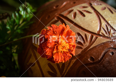 Colorful single orange flower on ornamental background indoors Colorful single orange flower on ornamental background indoors 94803689