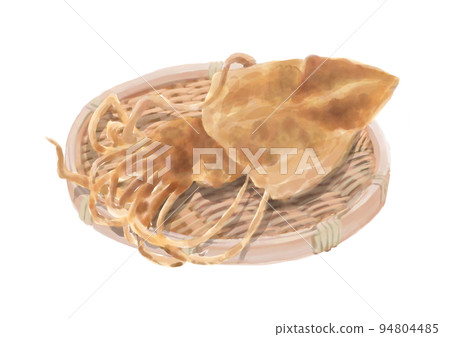 Watercolor dried fish_squid 01_2 Watercolor dried fish_squid 01_2 94804485