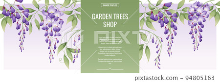 Banner with purple wisteria. Shop for flowers and garden plants. Poster,template, cover, web banner for product advertising. Banner with purple wisteria. Shop for flowers and garden plants. Poster,template, cover, web banner for product advertising. 94805163