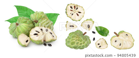 Sugar apple or custard apple isolated on white background. Exotic tropical Thai annona or cherimoya fruit. Top view. Flat lay Sugar apple or custard apple isolated on white background. Exotic tropical Thai annona or cherimoya fruit. Top view. Flat lay 94805439