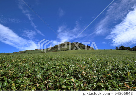 Kamegamori Sasahara and Akizora (Shikoku, Ehime Prefecture) 94806948