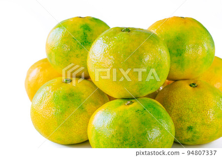 早熟橙子 早熟橙子 94807337