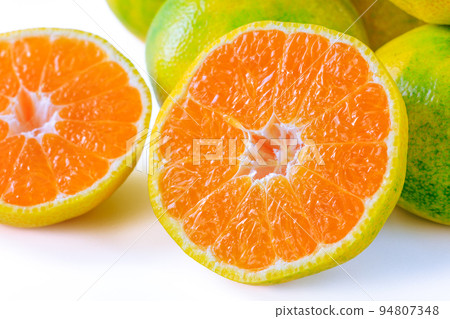 早熟橙子 94807348