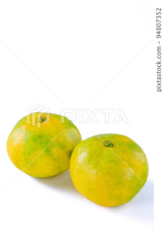 早熟橙子 早熟橙子 94807352
