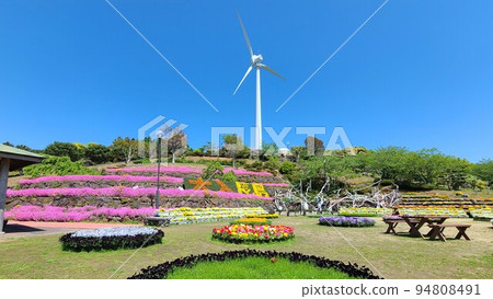 面向東海的長島町的風車(通過島上的風能和太陽能混合發電完全自給自足) 面向東海的長島町的風車(通過島上的風能和太陽能混合發電完全自給自足) 94808491