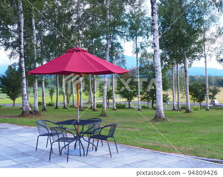 Hokkaido landscape White birch and terrace seats in Daisetsu Mori no Garden 94809426
