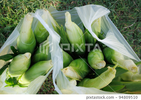 竹君採購(青森縣弘前市) 竹君採購(青森縣弘前市) 94809510