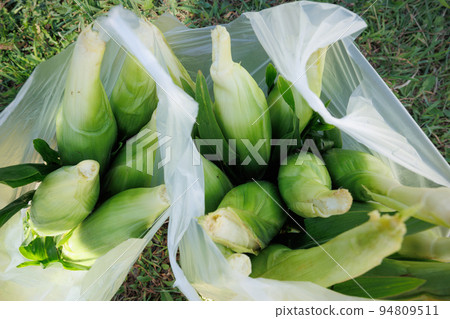 竹君採購（青森縣弘前市） 94809511