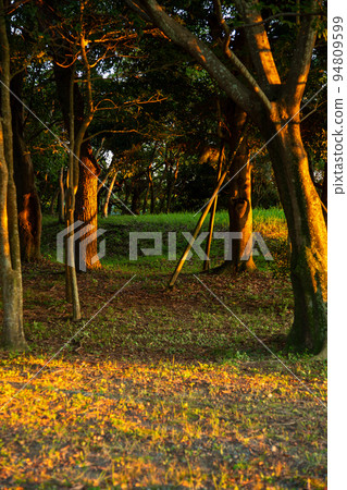 Ishijin no Hoshi Park at dusk Ishijin no Hoshi Park at dusk 94809599